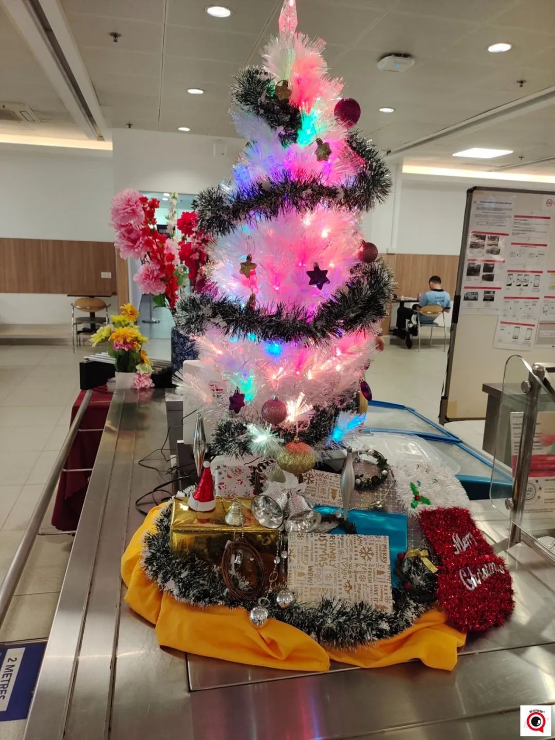 烏節路聖誕裝飾實拍!全新加坡2021年最美聖誕樹即將揭曉