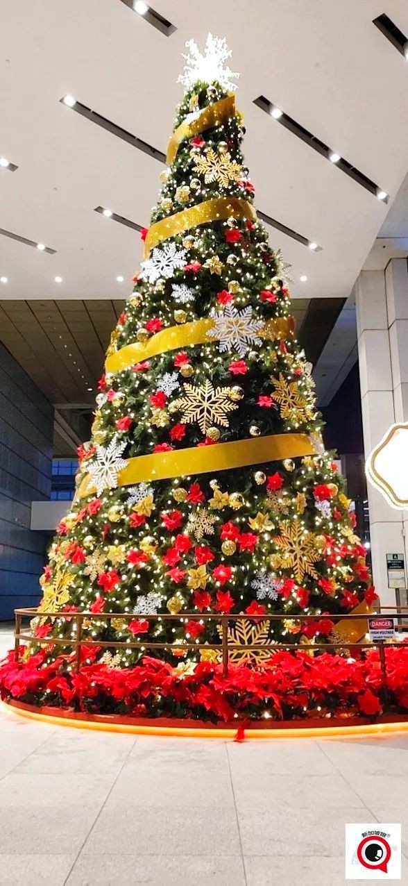 烏節路聖誕裝飾實拍!全新加坡2021年最美聖誕樹即將揭曉