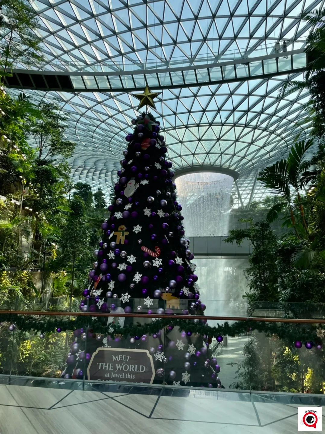 烏節路聖誕裝飾實拍!全新加坡2021年最美聖誕樹即將揭曉