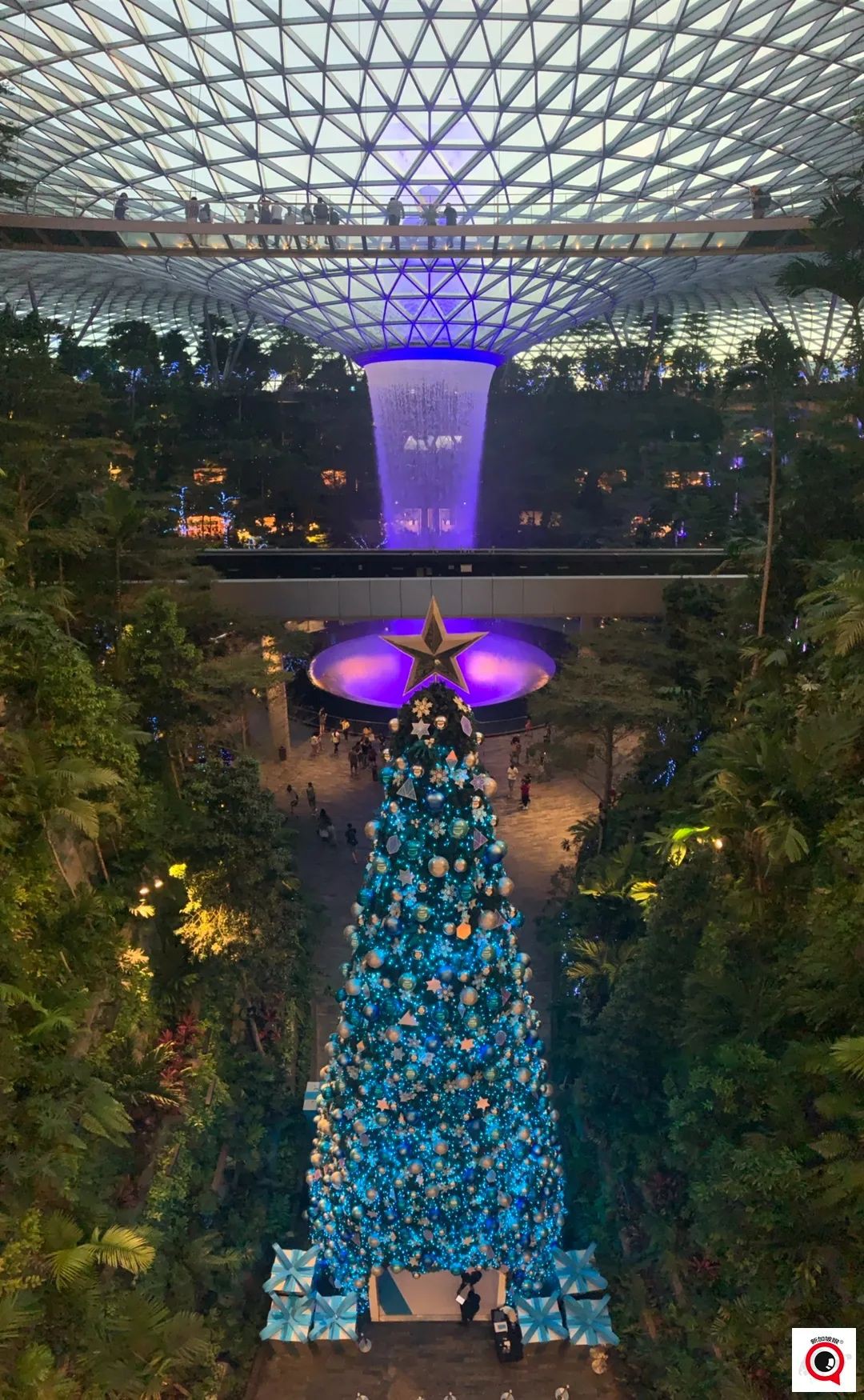 烏節路聖誕裝飾實拍!全新加坡2021年最美聖誕樹即將揭曉