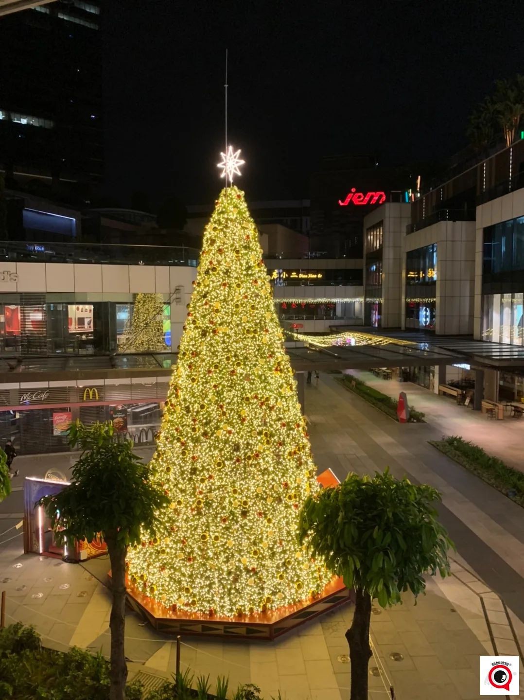 烏節路聖誕裝飾實拍！全新加坡2021年最美聖誕樹即將揭曉