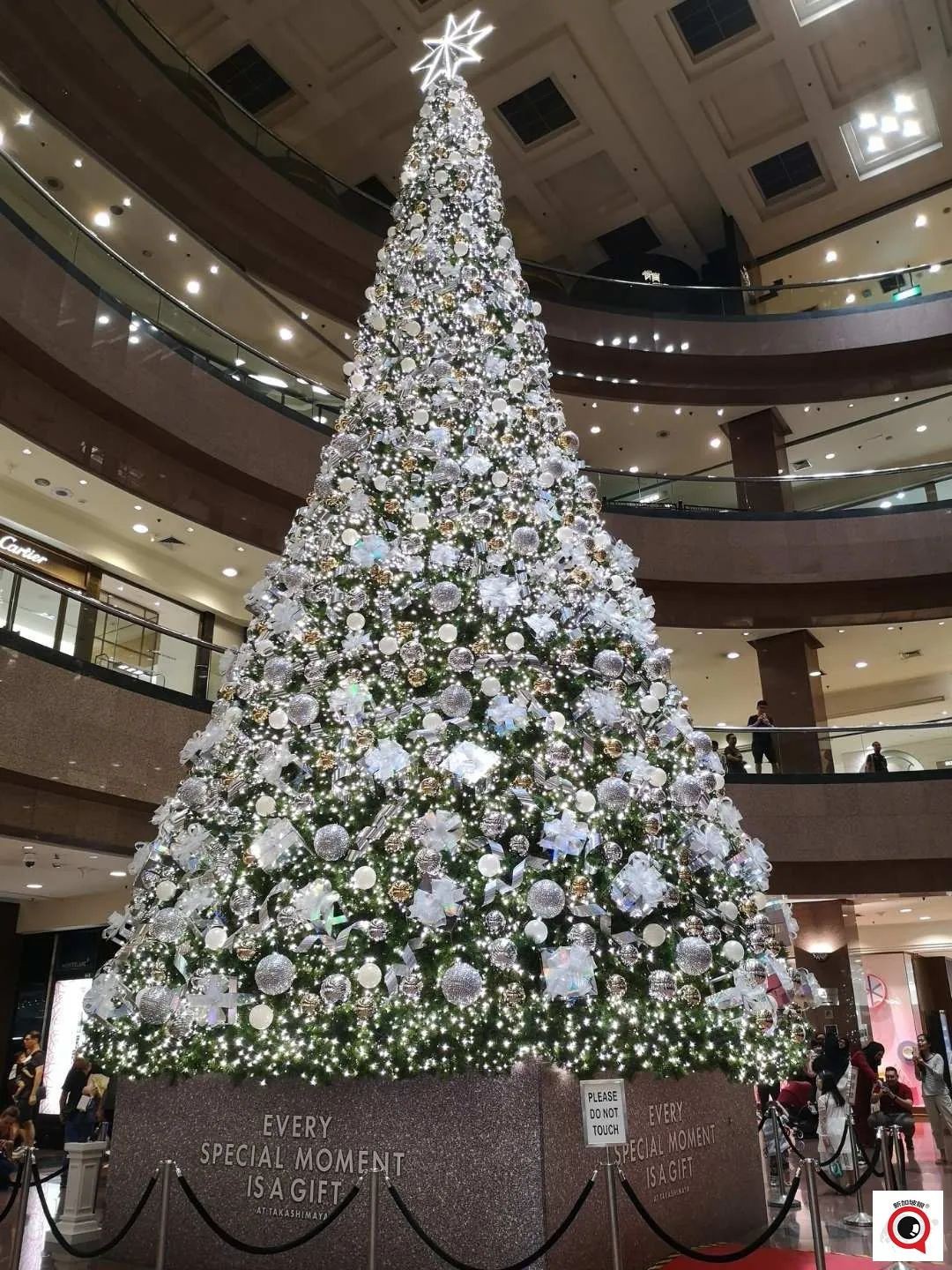 烏節路聖誕裝飾實拍!全新加坡2021年最美聖誕樹即將揭曉