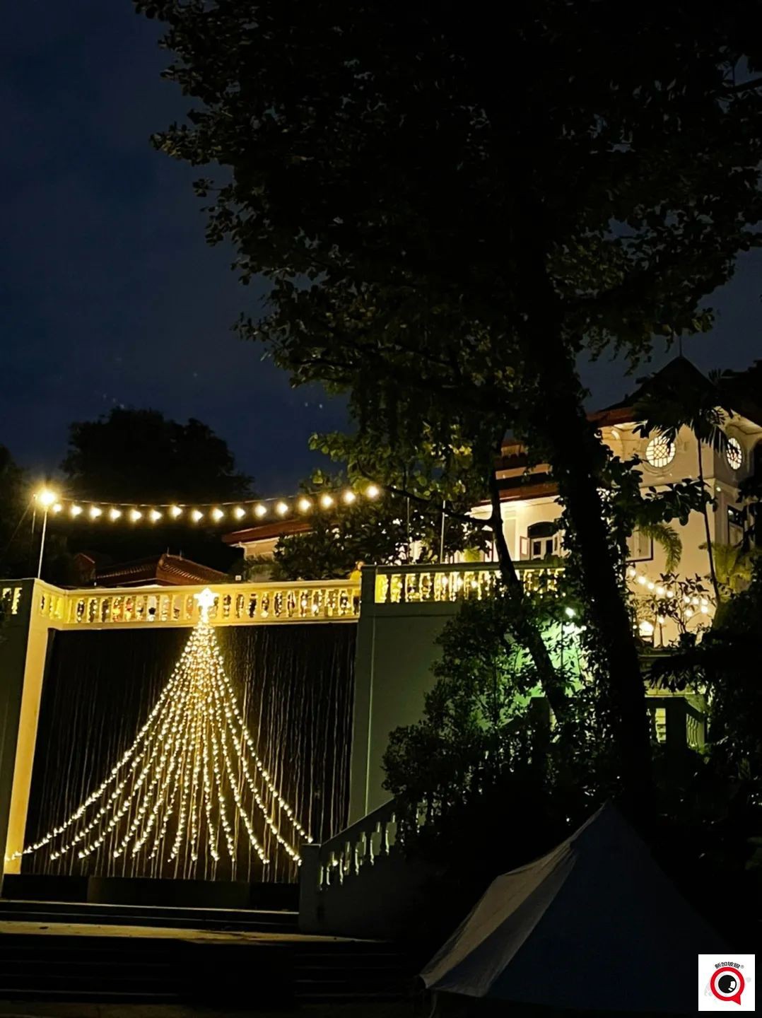 烏節路聖誕裝飾實拍!全新加坡2021年最美聖誕樹即將揭曉