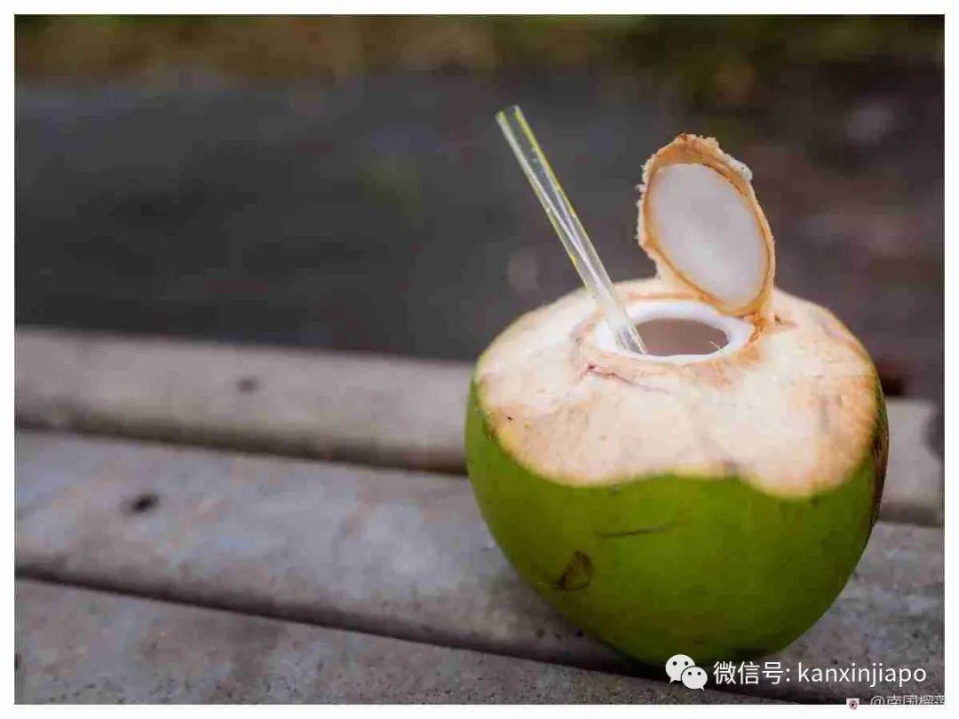 椰子浑身是个宝，喜欢椰子的朋友一定要看哦