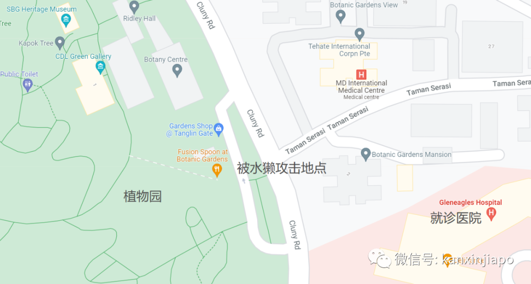新加坡水獭群殴路人,当事人“要不是朋友帮助,我恐怕已经死了”