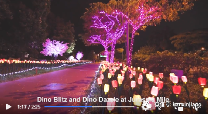 40不惑!疫情下樟宜機場爲大家創造快樂,有這麽多活動你知道嗎?