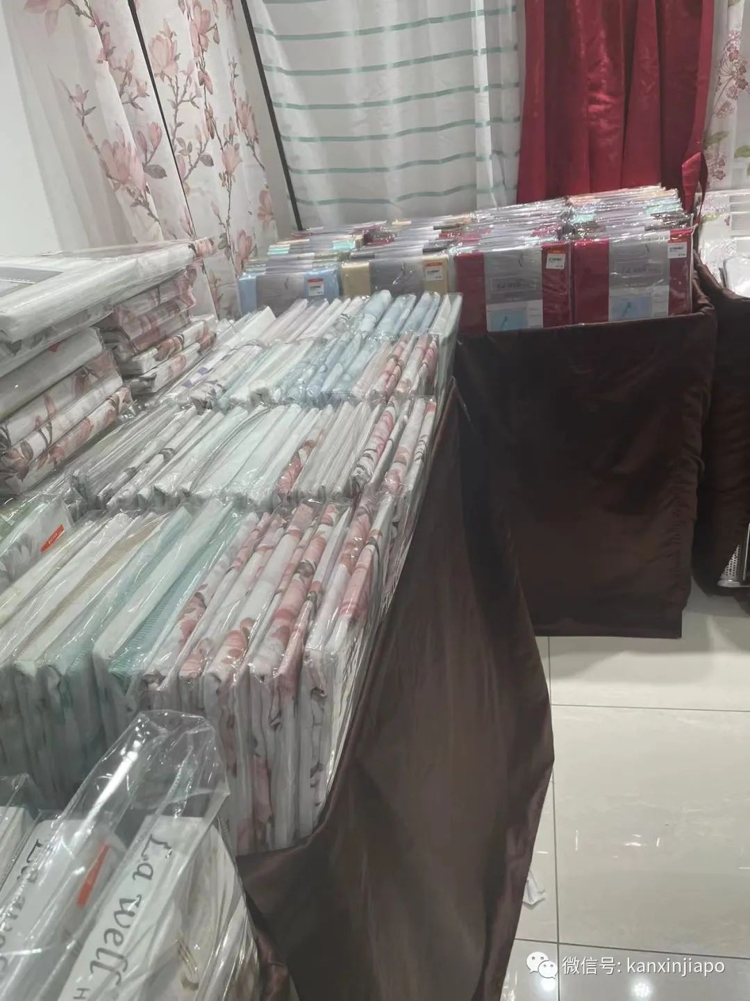 新加坡頂流初院學生賣窗簾竟遭遇學曆歧視?