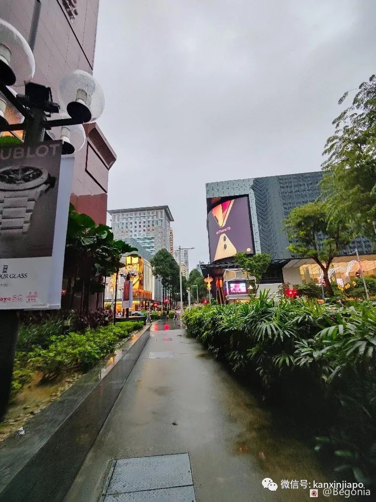 疫情下難得出門,看到不一樣的新加坡,路邊冰淇淩車還在嗎?