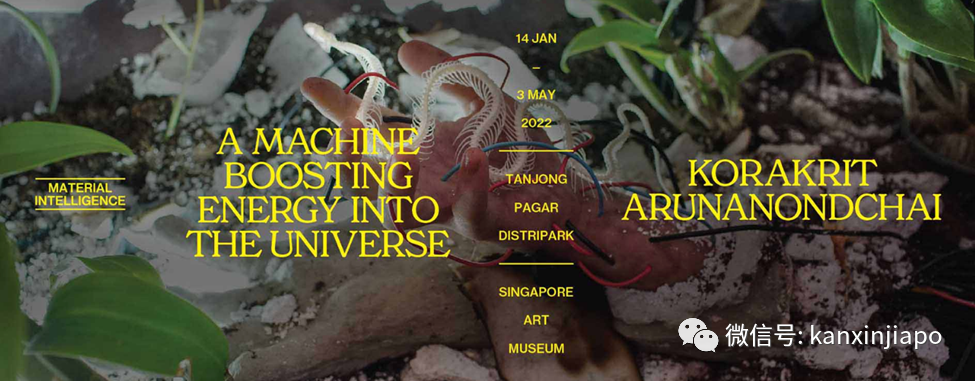 新加坡當代藝術有了國家級的新地標了!