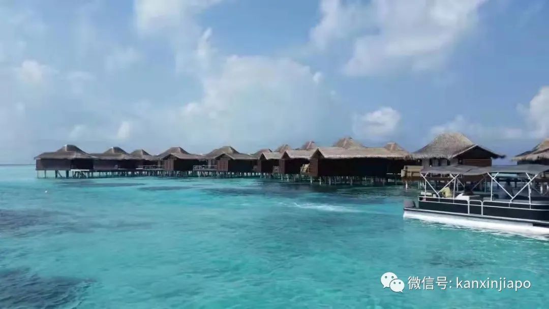 双子座小姐姐想在新加坡落地生根,寻找有缘人,孝顺父母、性格直爽