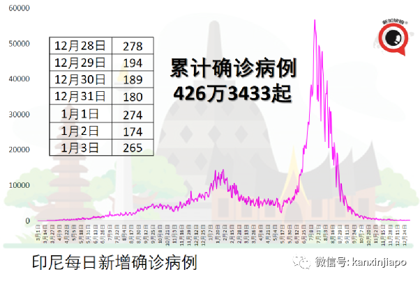 多艘遊輪爆發冠病感染,全船人被困海上