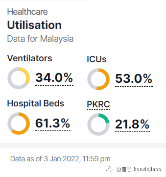 多艘遊輪爆發冠病感染,全船人被困海上