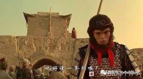 在成佛的路上，我抽空谈了一场若有似无的恋爱
