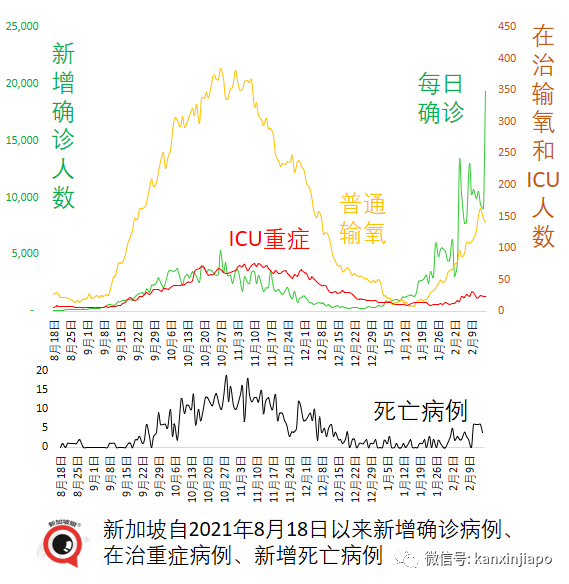 重磅!新加坡進一步解封開放:入境無須強制檢測,隔離期縮至7天,啓動香港VTL