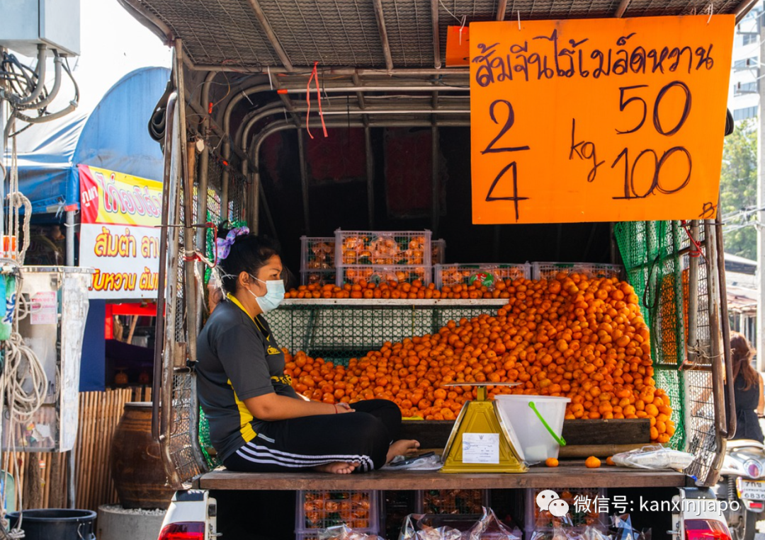 越馬泰三國病例連創新高;越南擬3月開放國際旅遊、5月辦東南亞運動會