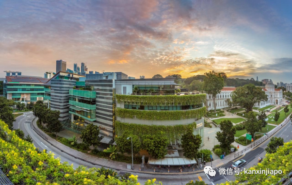 又一大学排名出炉，新加坡的这个专业居然全球第一！
