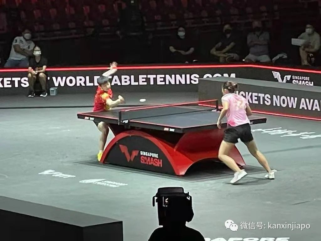 新加坡举行WTT世界乒乓球大满贯赛，中国多位名将上场！