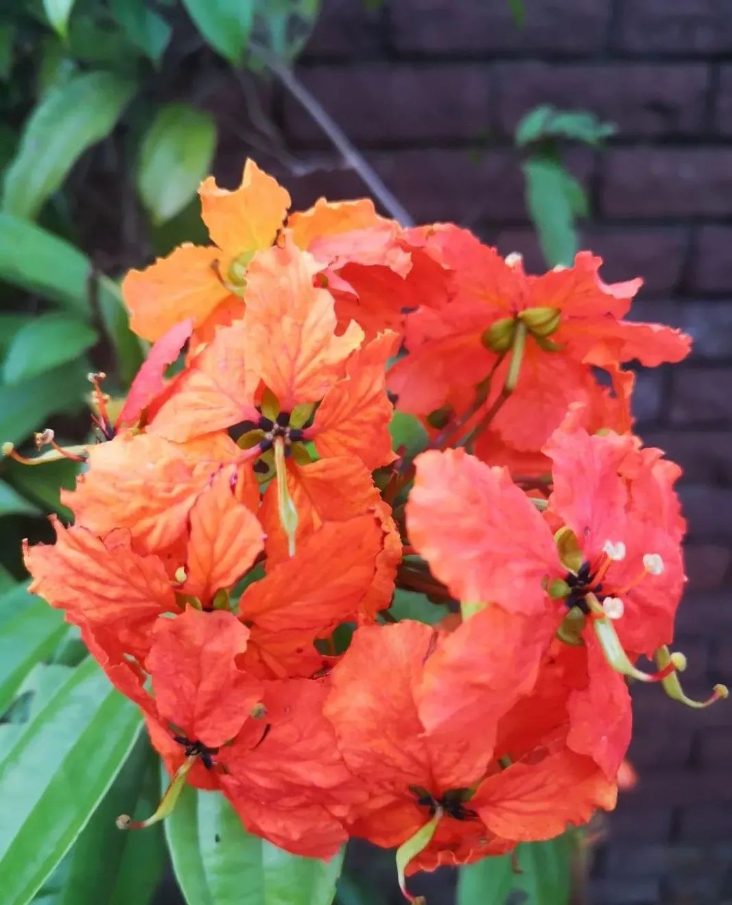 各位路過的女神,在婚姻裏一定要好好愛自己,才有能力愛身邊的人