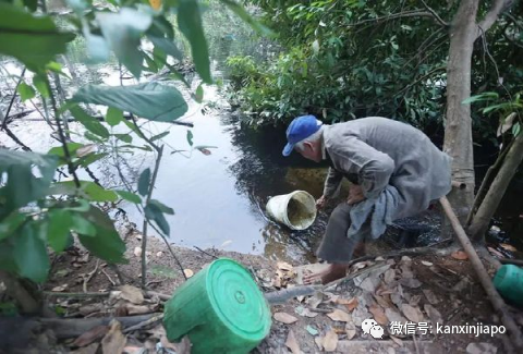 生活在疫情下的新加坡流浪者们，他们现在还好吗？