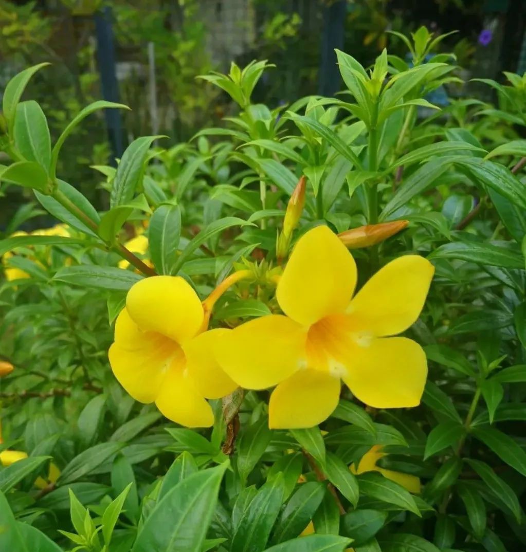 各位路過的女神,在婚姻裏一定要好好愛自己,才有能力愛身邊的人