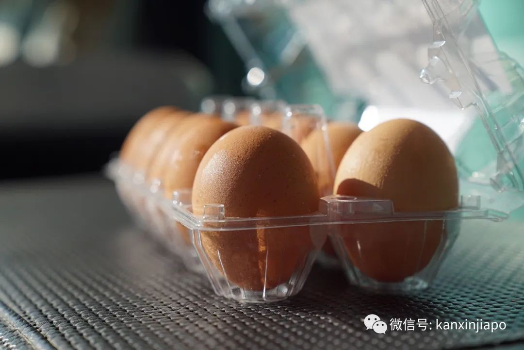 还有“鸡蛋自由”吗？新加坡鸡蛋价格翻倍