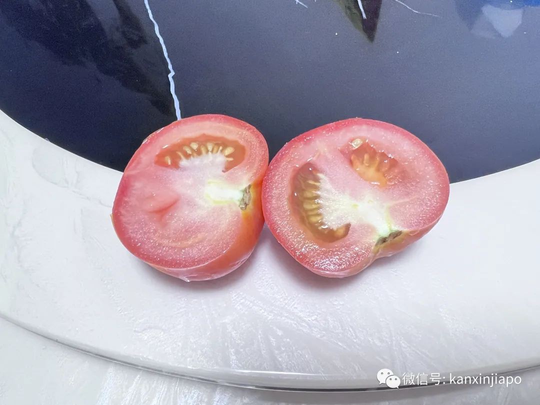 新加坡现在能吃到千里之外的番茄之王了，还免国际运费！