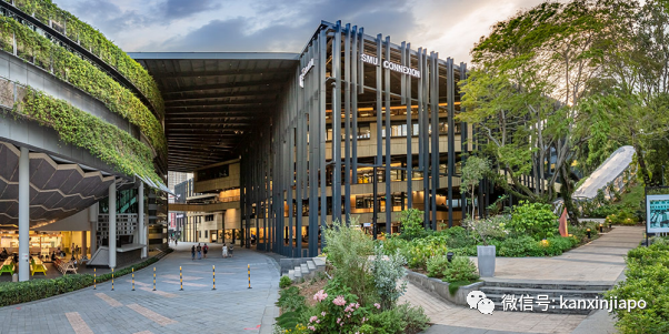 又一大學排名出爐,新加坡的這個專業居然全球第一!