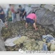 新加坡昇菘超市全面下架康师傅老坛酸菜面