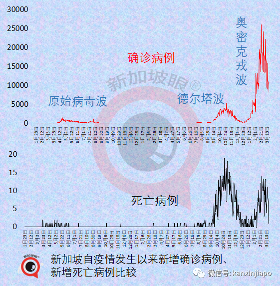 新加坡入境旅客近兩月翻倍；張文宏認爲中國抗疫需要注意3點