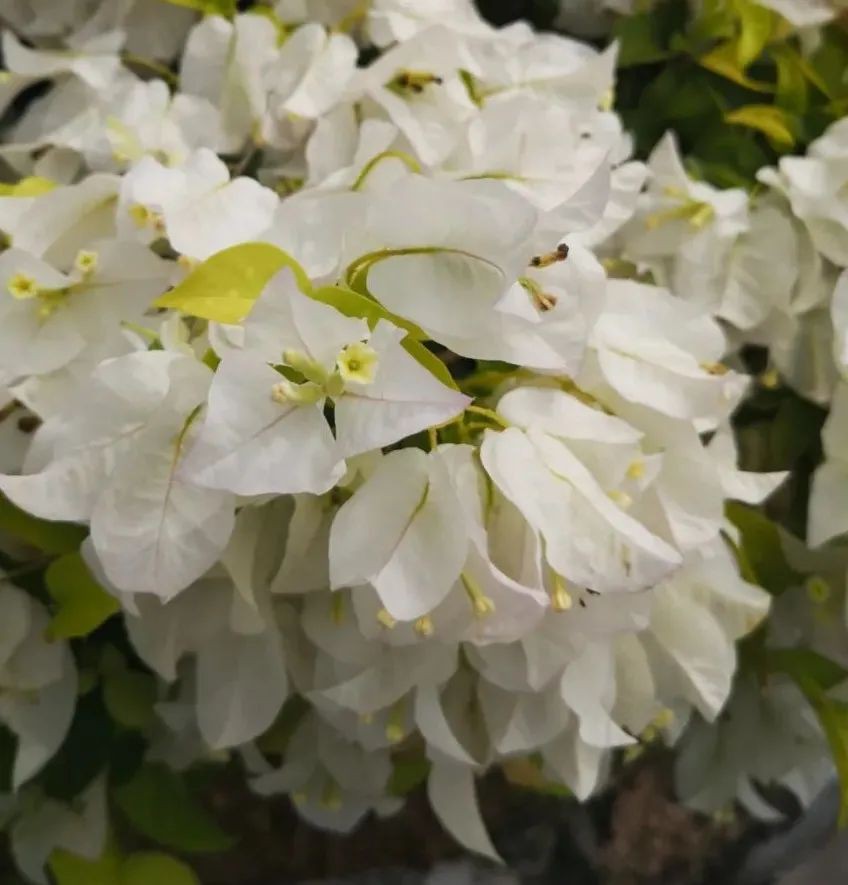 各位路過的女神,在婚姻裏一定要好好愛自己,才有能力愛身邊的人