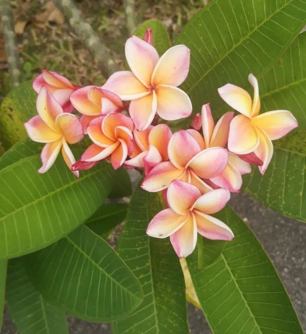 各位路過的女神,在婚姻裏一定要好好愛自己,才有能力愛身邊的人