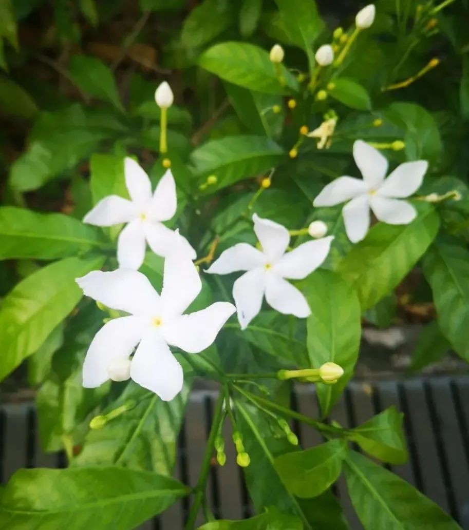 各位路過的女神,在婚姻裏一定要好好愛自己,才有能力愛身邊的人