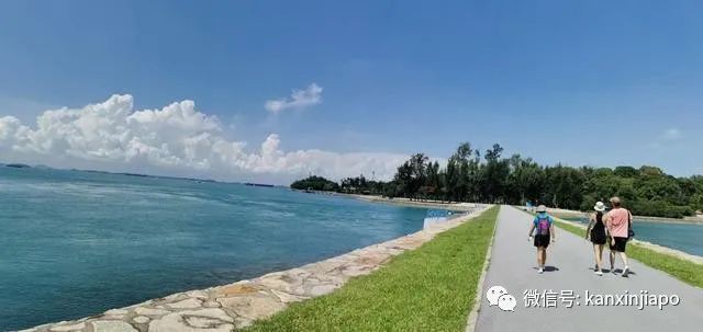 新加坡大解封，又可以到处耍啦！第一站不如先去这3个宝藏小岛