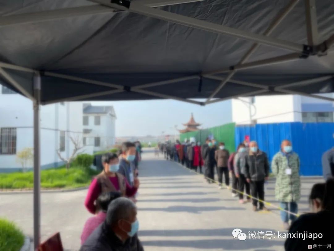 我從新加坡回到江蘇後,成爲了抗疫志願者“大白”...