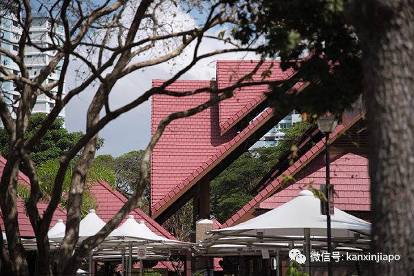 新加坡的这个地方居然是“非物质文化遗产”，你一定去过~