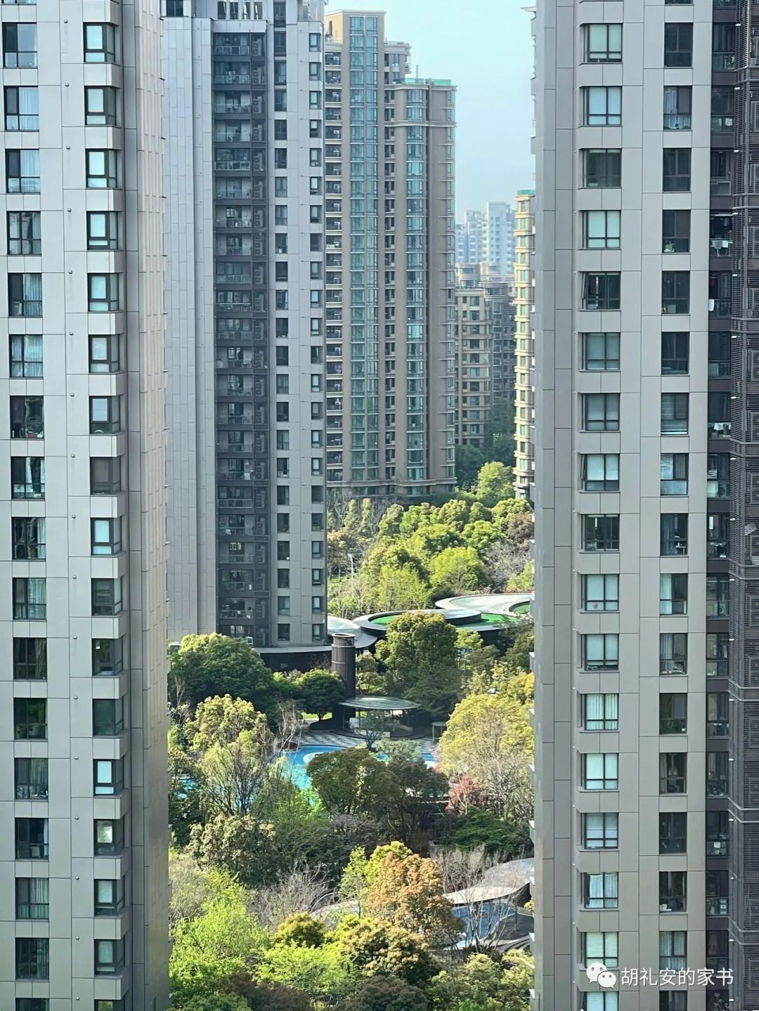 “从新加坡回到上海，封锁一再延长，我被卷入了这场前所未有的大事件”