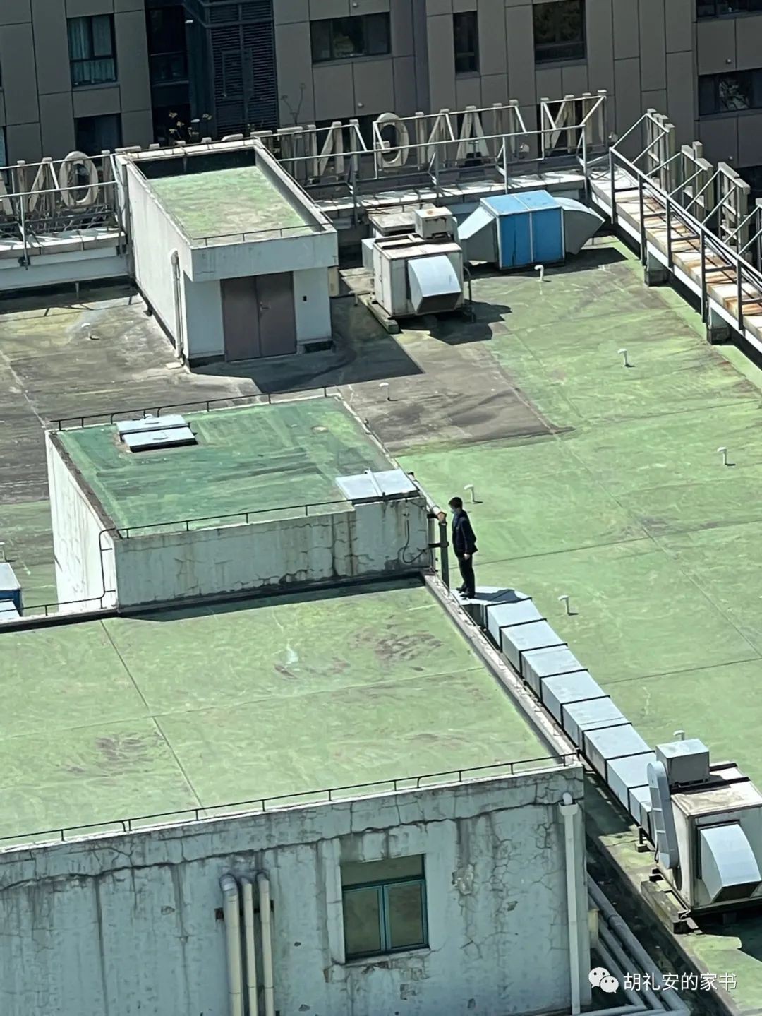 “从新加坡回到上海，封锁一再延长，我被卷入了这场前所未有的大事件”