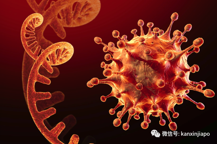 新变异毒株XE出现，世卫表示疫情可能“重置”，人类免疫力归零