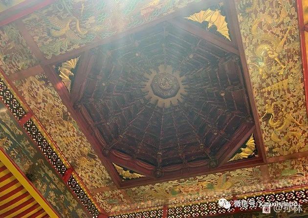 来芽笼吧！这里有很多秘密等你来发掘～