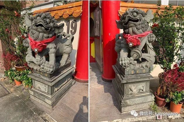 来芽笼吧！这里有很多秘密等你来发掘～