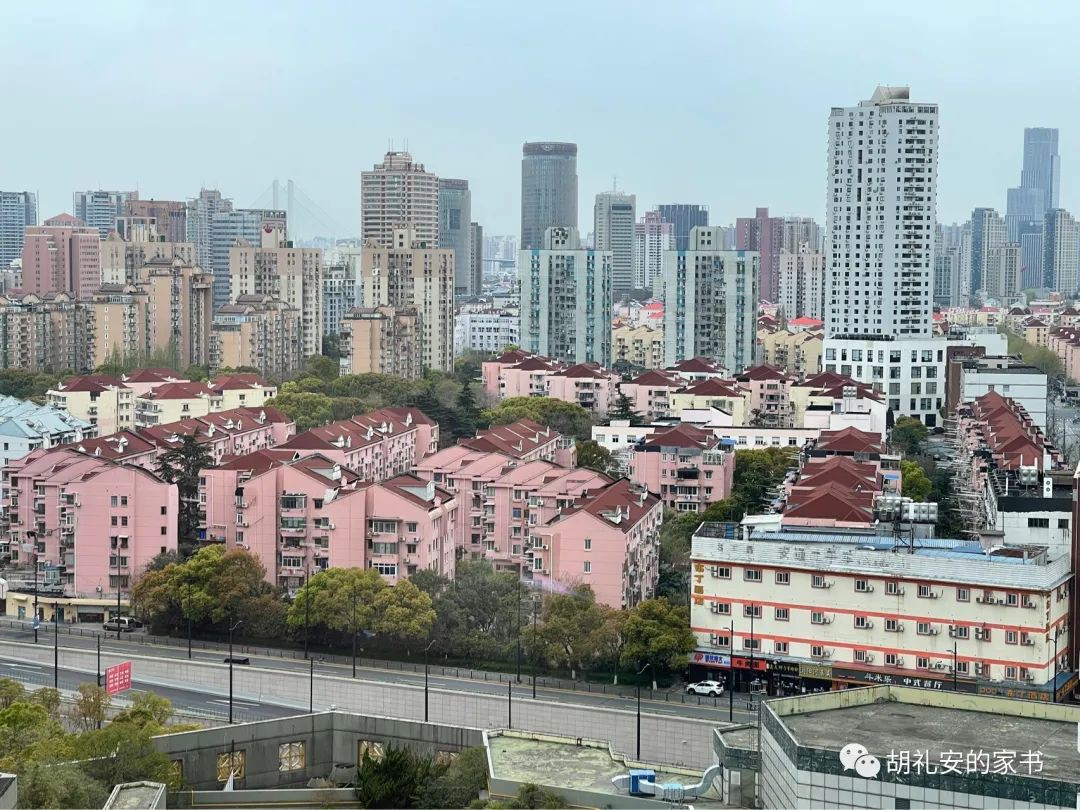 “从新加坡回到上海，封锁一再延长，我被卷入了这场前所未有的大事件”