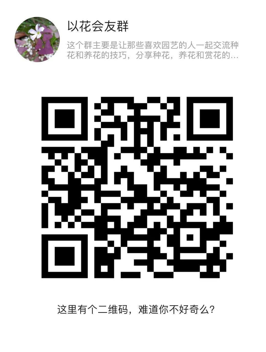 探訪新加坡最美花園,只可惜這裏的牡丹似乎缺少了點野性...