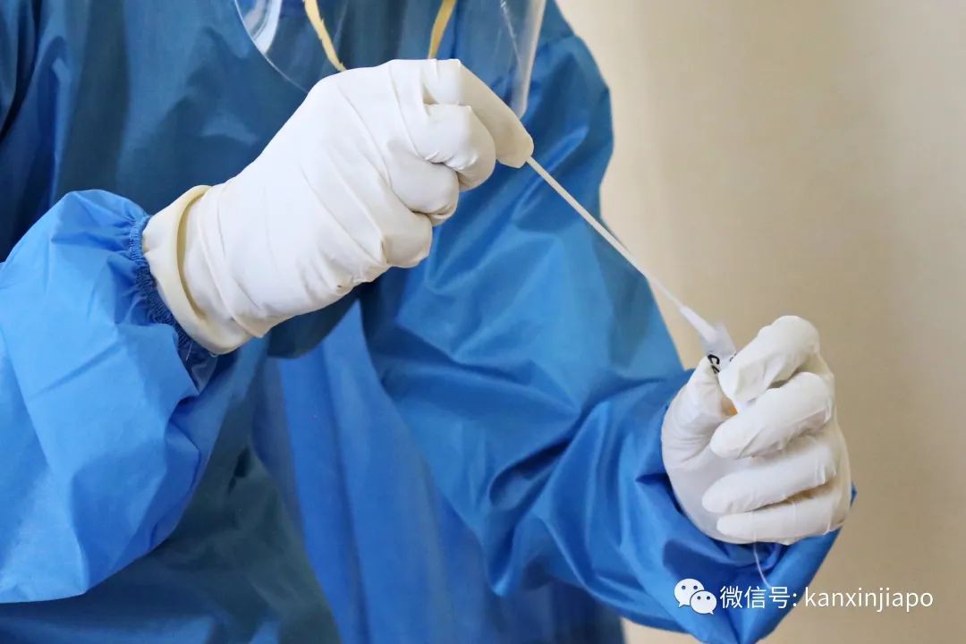 澳洲、日本出现首例XE病毒,马国可能是下一个...