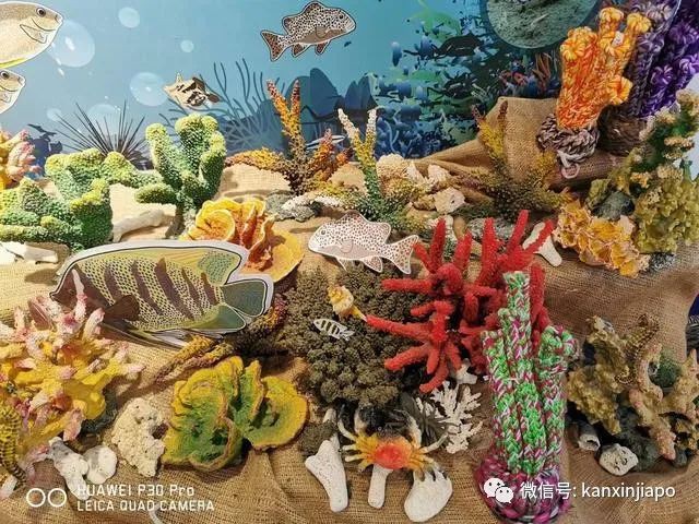 新加坡大解封，又可以到处耍啦！第一站不如先去这3个宝藏小岛