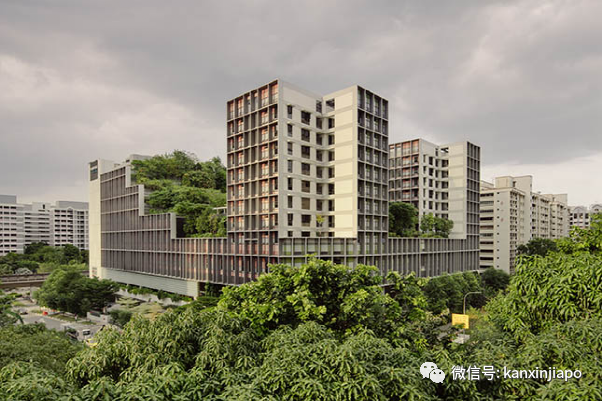 新加坡的这个地方居然是“非物质文化遗产”，你一定去过~