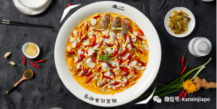 解鎖樟宜機場的隱藏玩法,新加坡新晉打卡點