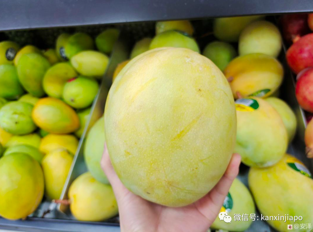 1新幣白菜價,我在新加坡巴刹實現水果采購自由