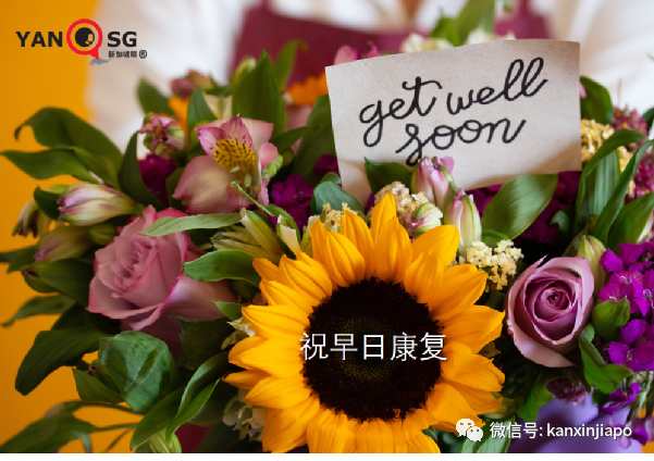 新加坡奧密克戎累計破百萬起;新一代變異株可能在人體內進化中