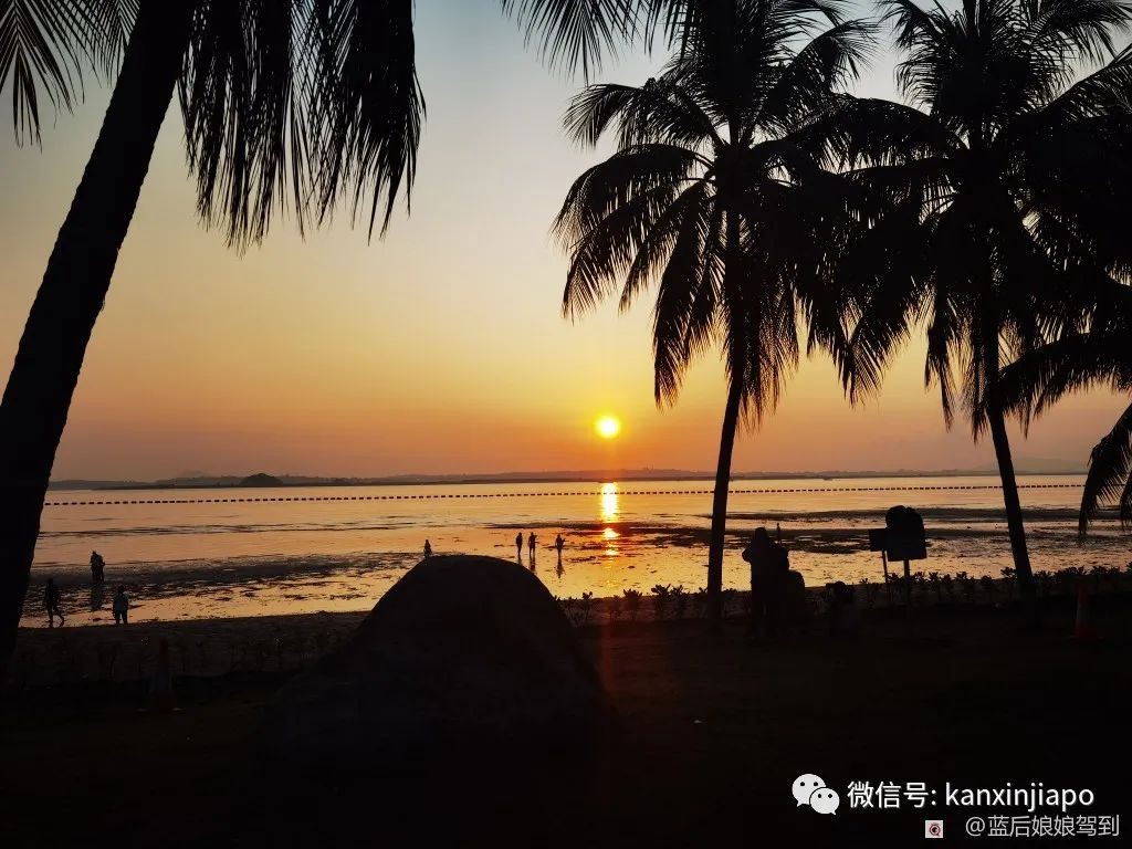 去樟宜海滩赶海吧，那里有最美的日出和从未见过的海洋生物...