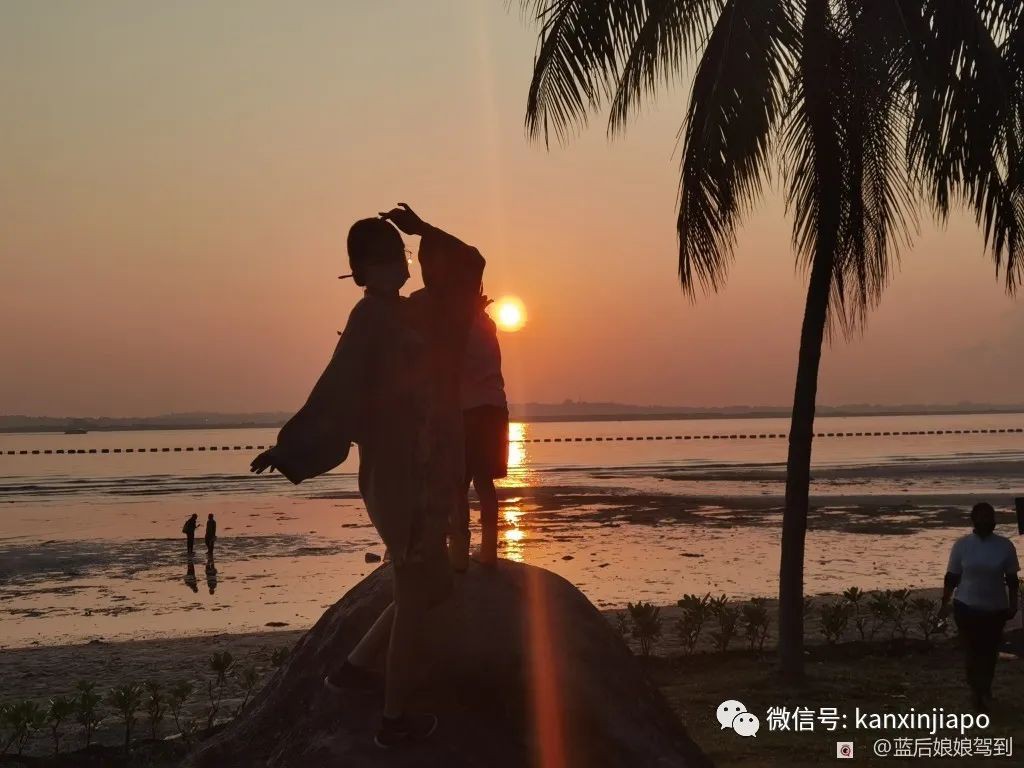 去樟宜海滩赶海吧，那里有最美的日出和从未见过的海洋生物...